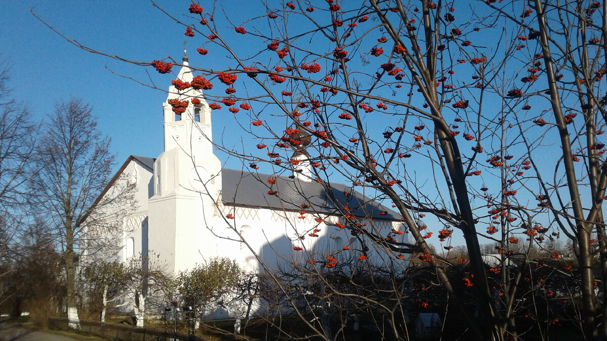 Суздаль Фото автора