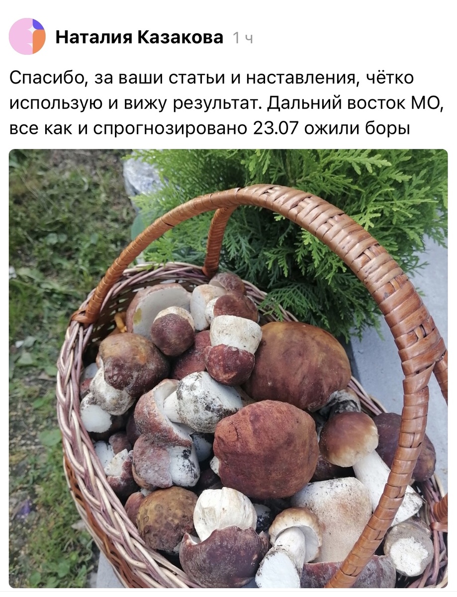 23.07.2023, Дальний юго-восток Московской Области