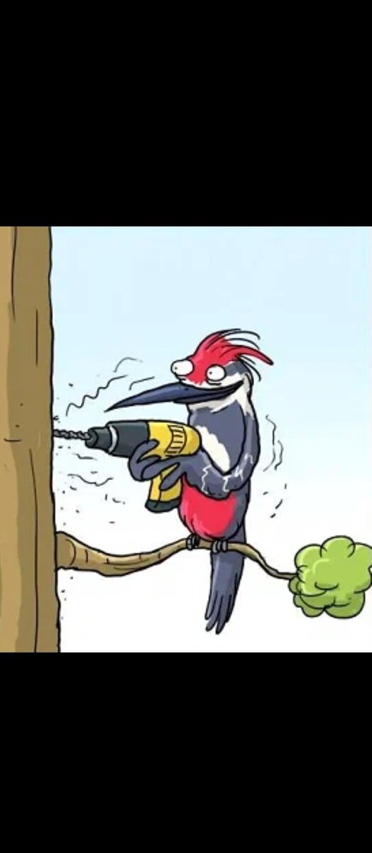 Фото из открытых источников