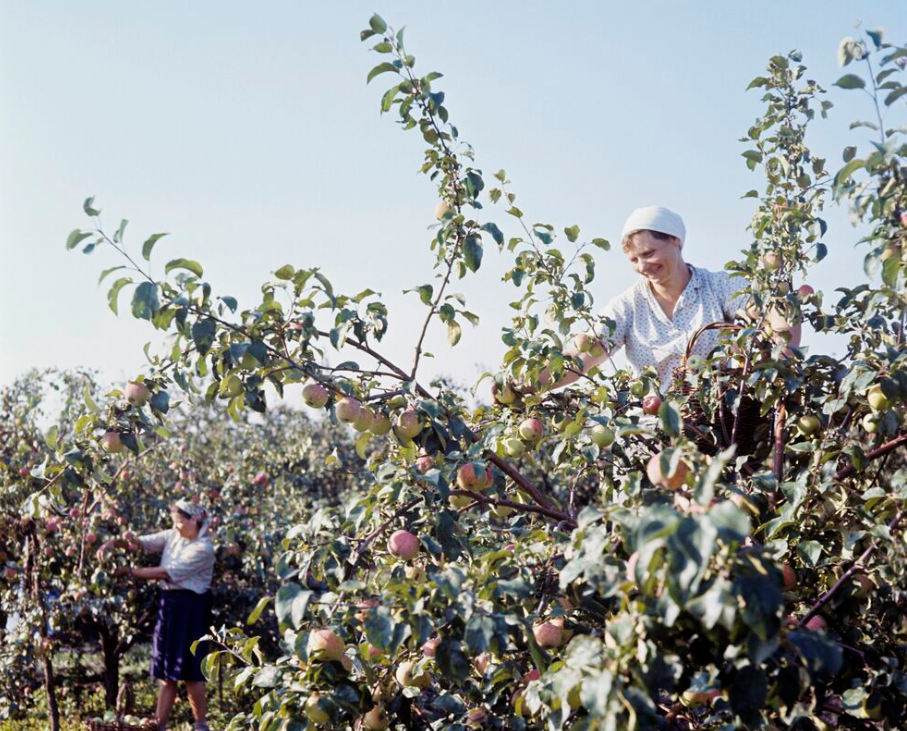 Фото В. Сметанина / РИА Новости