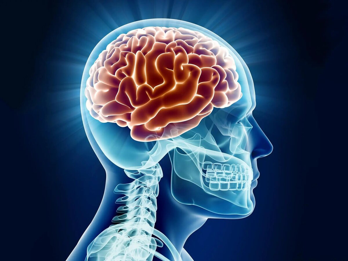 Ученые изучающие мозг. Исследование мозга. Старение мозга. Исследование мозга в научной фантастике.