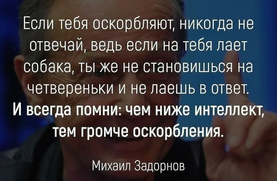 Ты обижен на руку. Задорнов если тебя оскорбляют никогда. Цитата задорного про оскорбление. Цитаты об оскорблении человека. Цитаты про оскорбления и унижения.