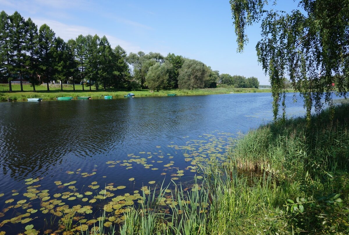 Вид реки Солоницы в Некрасовском