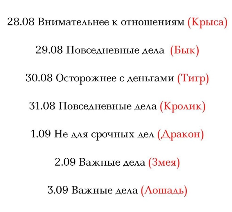 Используйте прогноз, чтобы выбрать день для начала важного дела.