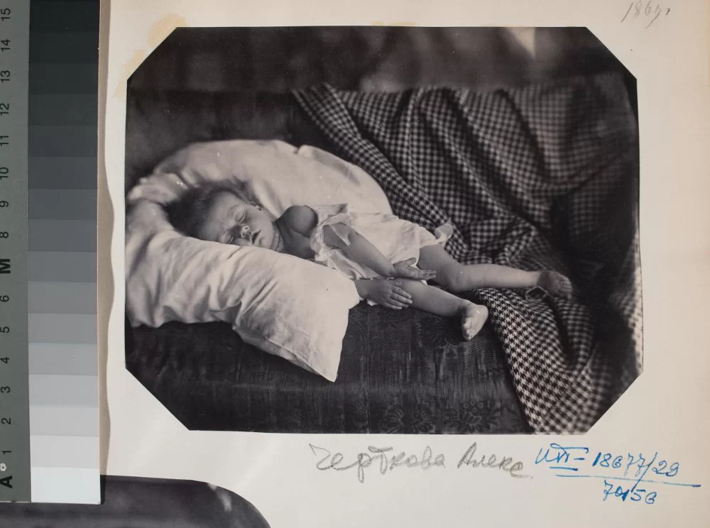 Портрет спящей Александры Григорьевны Чертковой. Чертков Григорий Александрович. 1869 г.