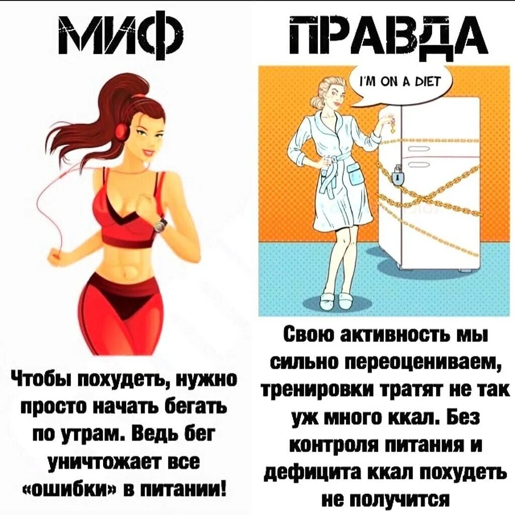 Кот начал худеть. Миф правда похудение. Мифы о похудении. Факты о похудении. Миф правда фитнес