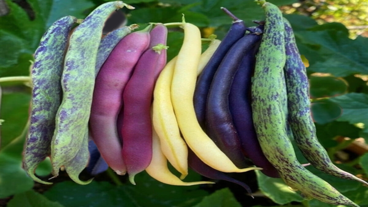 Тест по картинке