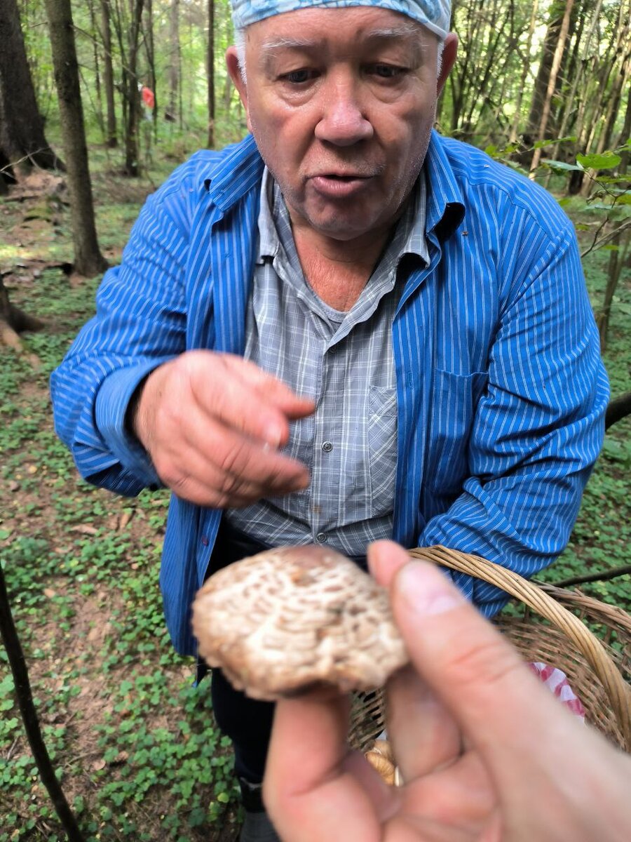 Пришел ниоткуда, ушел в никуда! Фото автора.