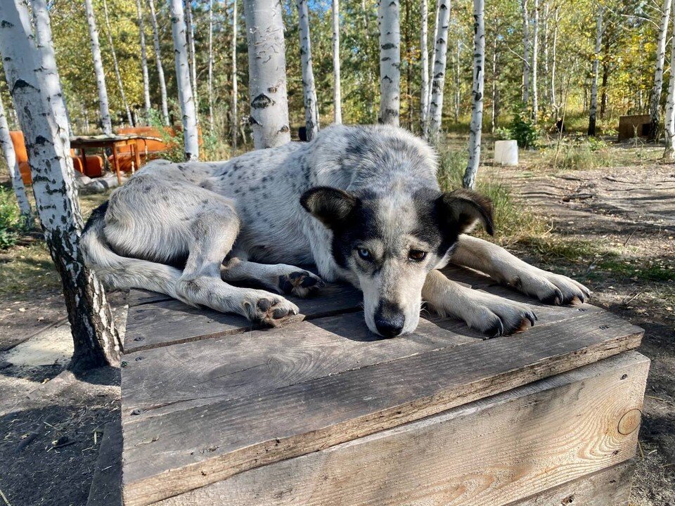    Фоторепортаж "КП-Ульяновск" по "Ладному стану" Марина ДОЛГОВА