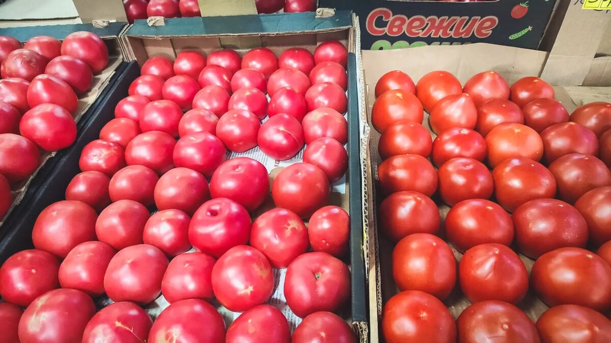     Цены на свежие огурцы и помидоры подскочили на 8-15% всего за неделю в Волгограде, сообщает региональный орган статистики.
