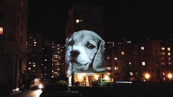 Креативный вариант использования мультимедийного проектора