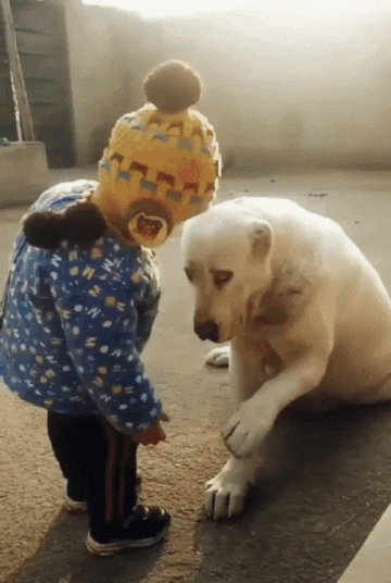  Хозяин, я хороший, не сомневайся.