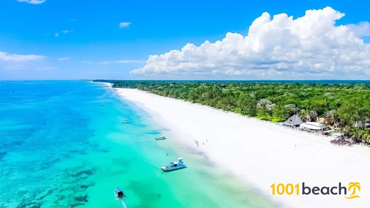 Введите описание картинки