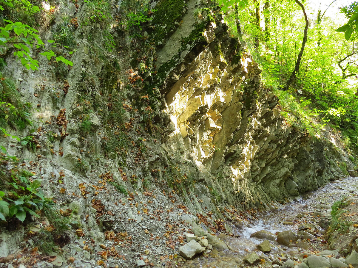 Село бжид краснодарского края