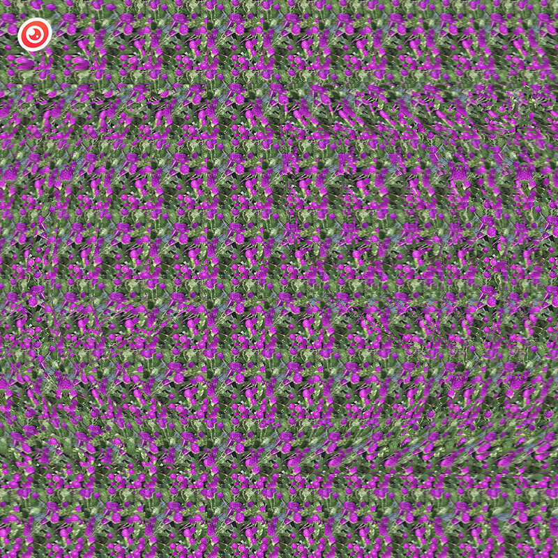 Мнение разделилось. Это и космический корабль и лопасть самолета. Не знаю как Вы, но я еще вижу что-то похожее на деревья..