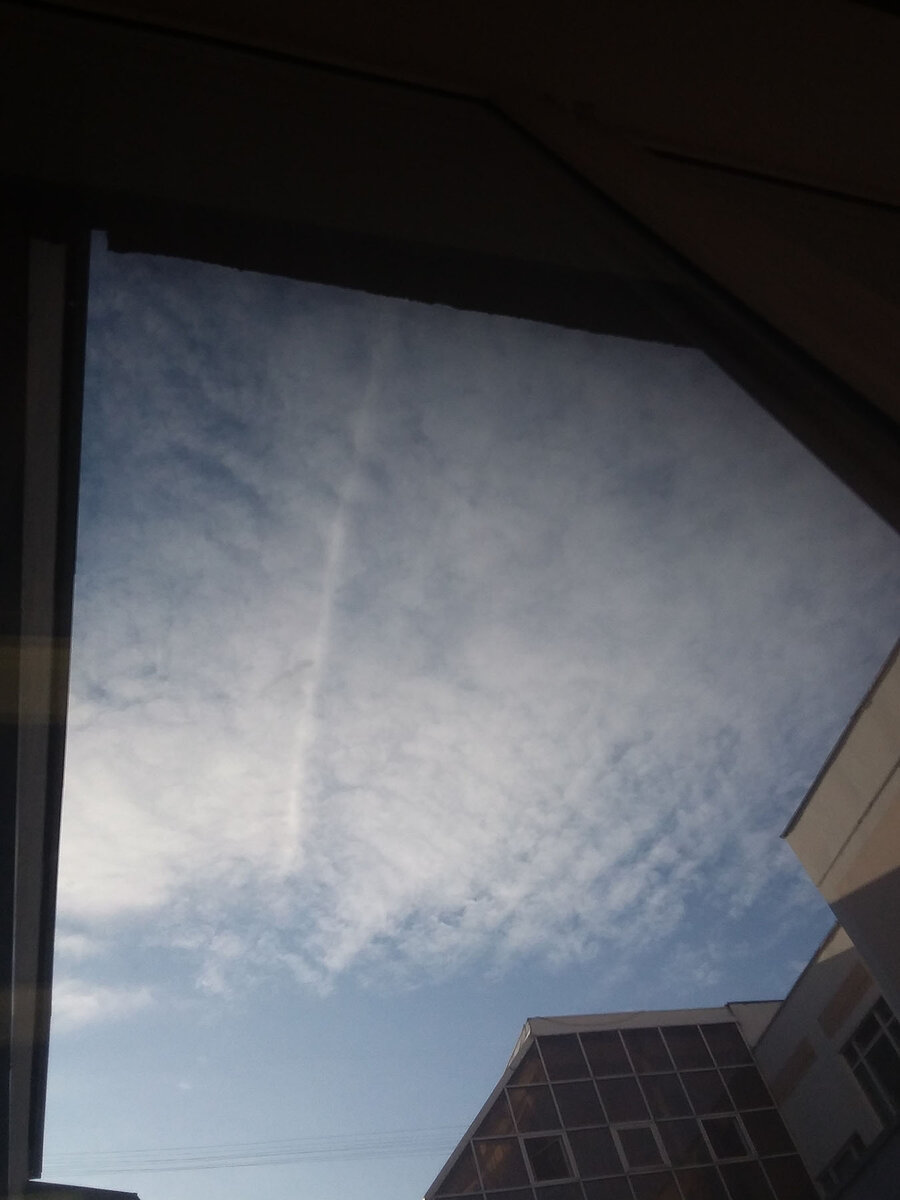 Добро можно увидеть вокруг нас: в голубом небе, в свете солнца, в пении птиц. Автор фото: Плешанкова Елизваета 