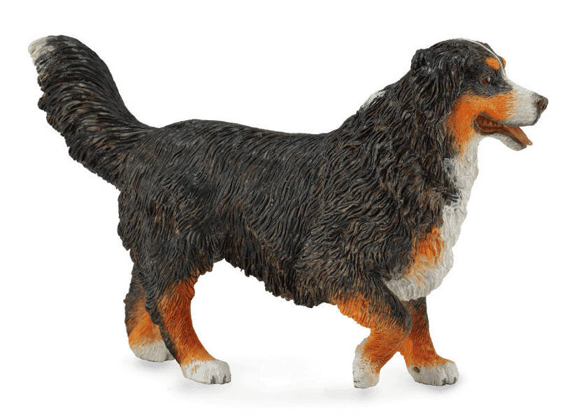 Собака Collecta