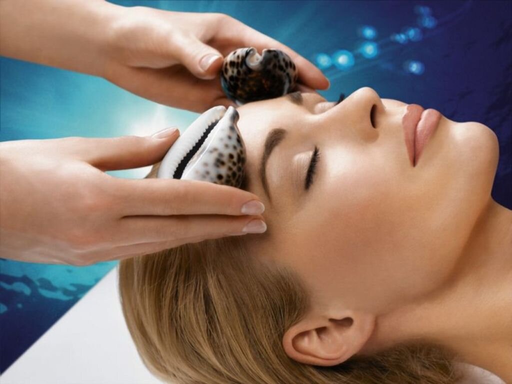 Раковины рапанов