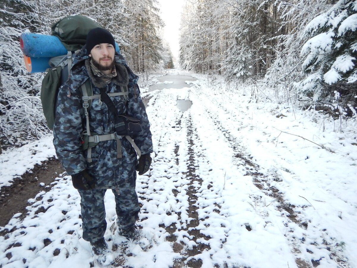 Ноябрьский лес