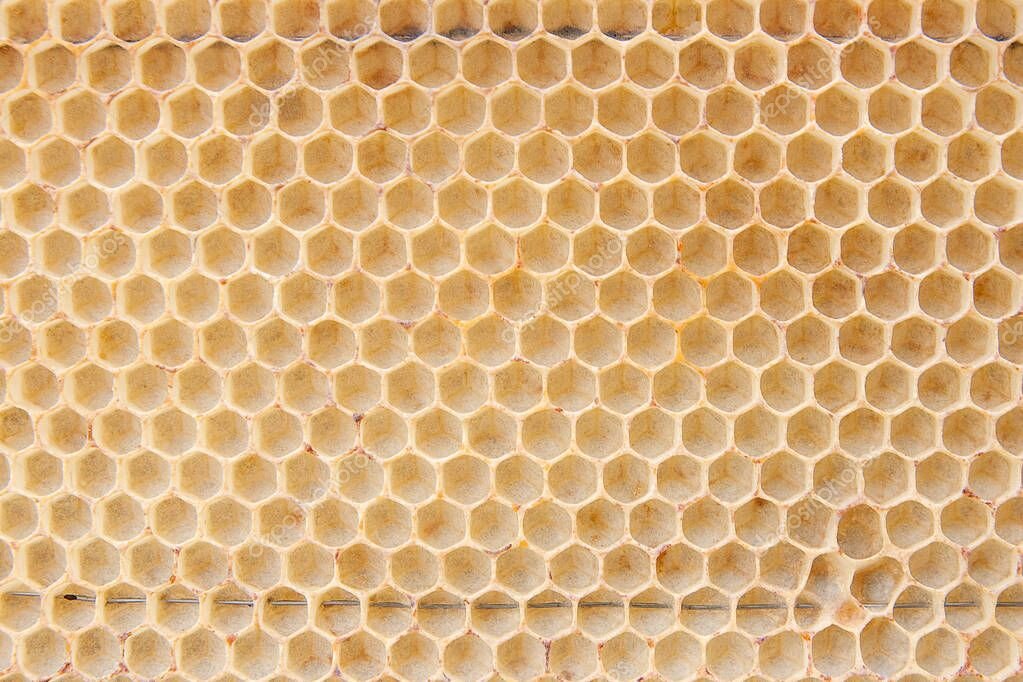 Соты. Источник Яндекс Картинки