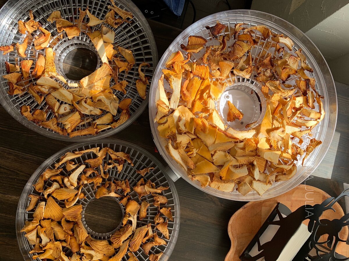 Фото - Сладкий Персик (тут мои лисички)