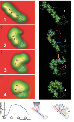 Рис.44 (а). Структура хлорофилла А. Violeta Iancu and Saw-Wai Hla «Realization of a four-step molecular switch in scanning tunneling microscope manipulation of single chlorophyll-a molecules» PNAS September 12, 2006 vol. 103 no. 37 13721 PH

