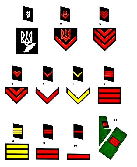 Картинка 1. Петлицы и нашивки солдат УПА: от главнокомандующего УПА (1) до рядового (10); петлицы крепились к воротнику кителя, а нашивки – на его левом рукаве (11). Источник: Википедия