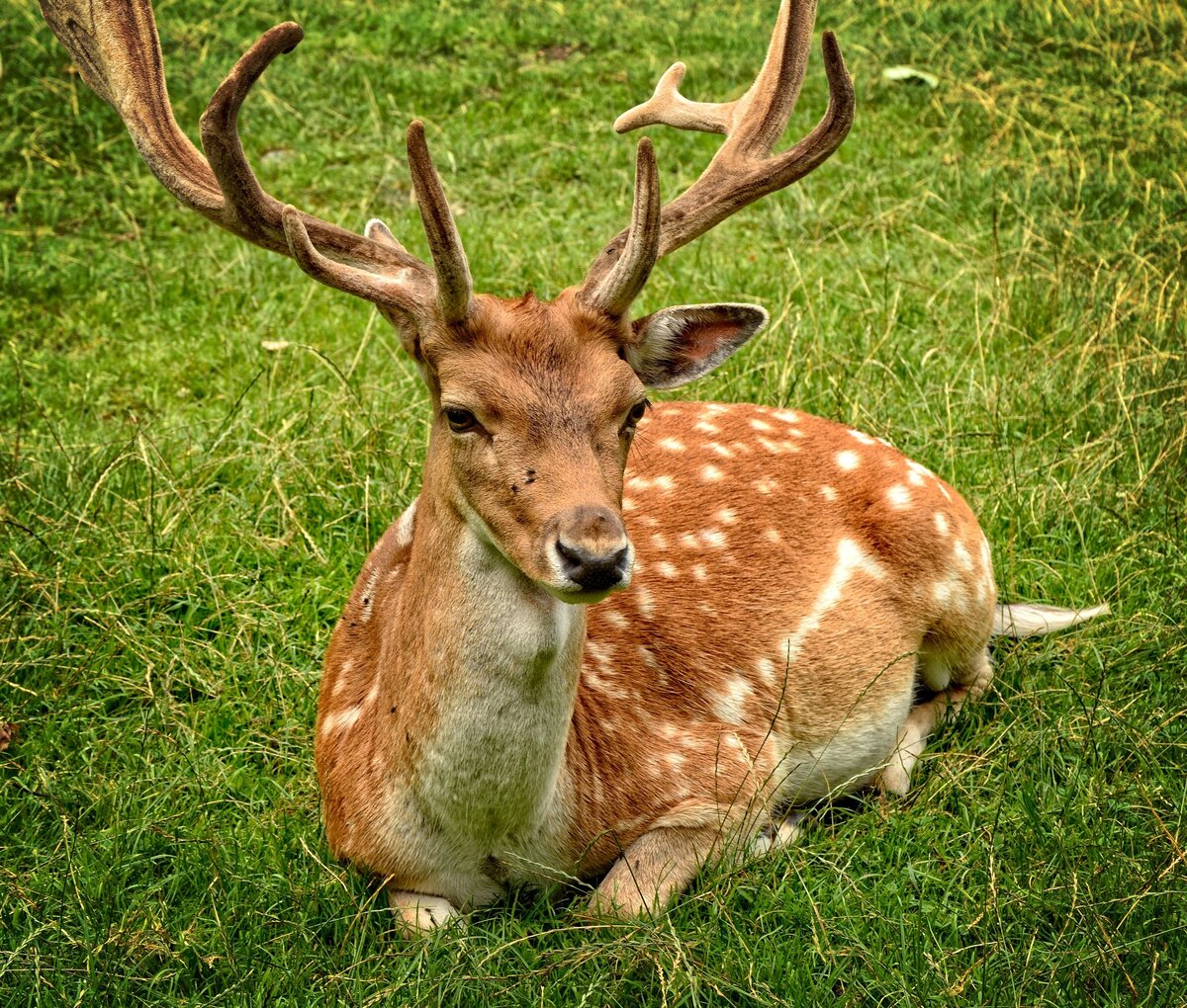 Фото: pixabay.com 