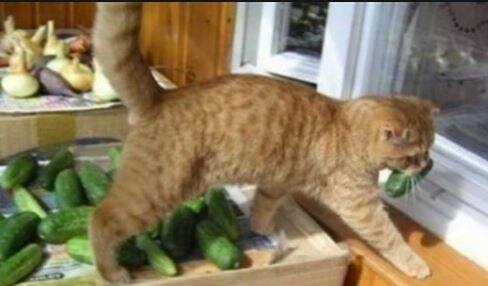 Надеюсь это вкусно)