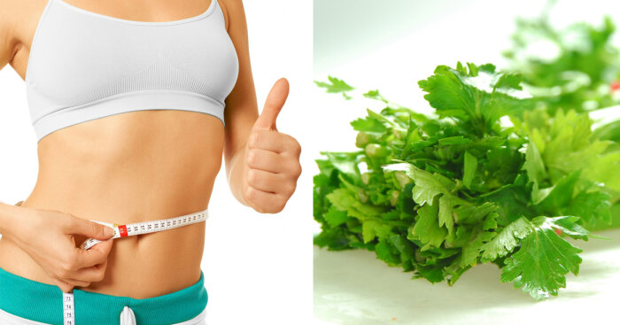  
Суперовощ сельдерей.
Полка с сельдереем - далеко не самая популярная в супермаркетах. Вероятно, это связано с тем, что о полезных свойствах этого овоща пока знает не так много людей. А они действительно впечатляют. Диетологи утверждают, что это единственный природный сжигатель калорий: на его переваривание желудочно-кишечный тракт тратит столько энергии, что ее хватило бы на сжигание калорий от не самого полезного ужина. В этом обзоре рассказ о полезных свойствах суперовоща.
