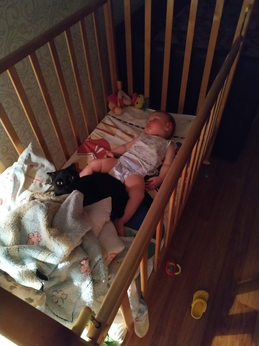 Котик приходит греть сына