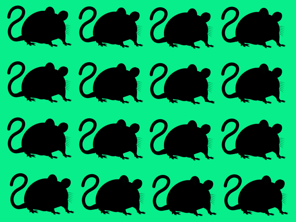 Авторское изображение