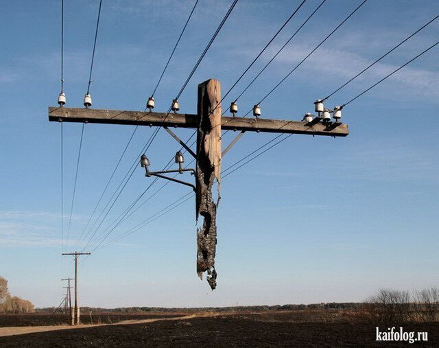 Картинка из интернета