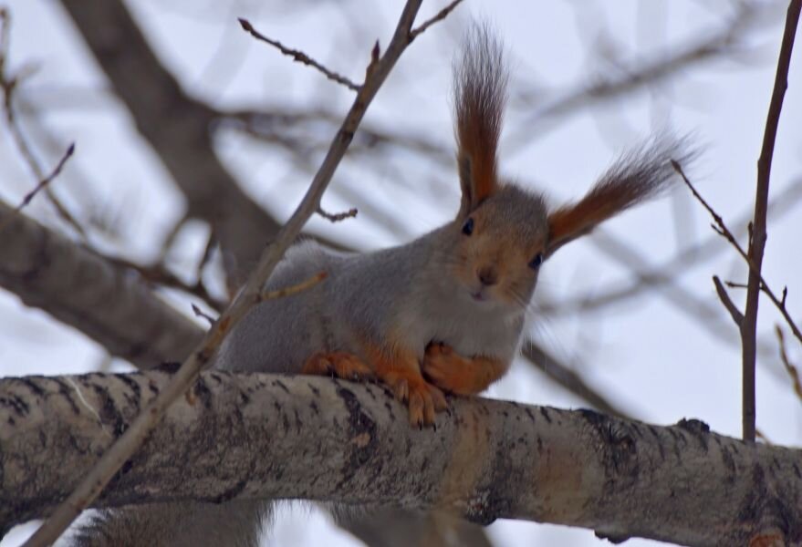 Фото Элинор Пэйт
