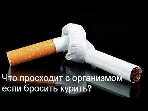 "завяжи сигарету в узел, пока она не завязала тебя!"... фото из открытых источников.