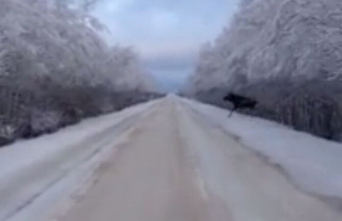 Фото с Яндекса картинки 