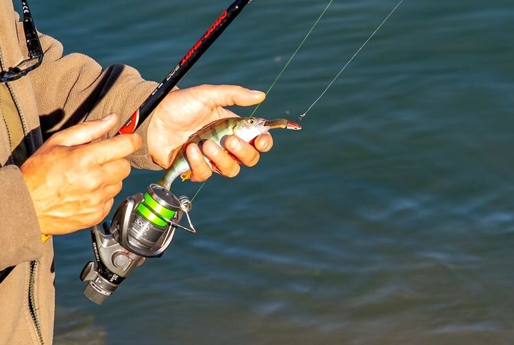  Спиннинг ранней весной. Первый весенний окунь