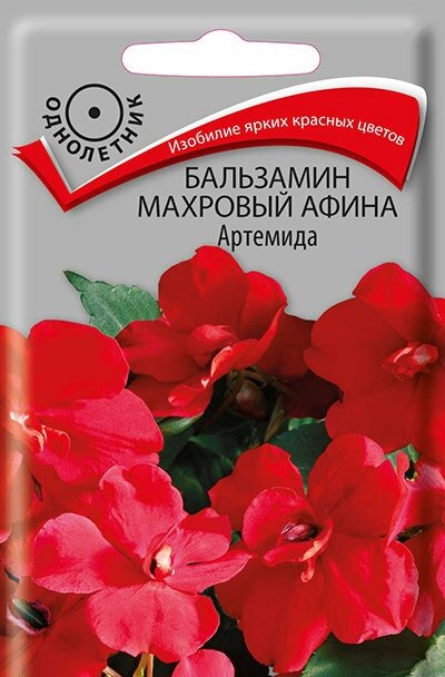 Понравился именно такой