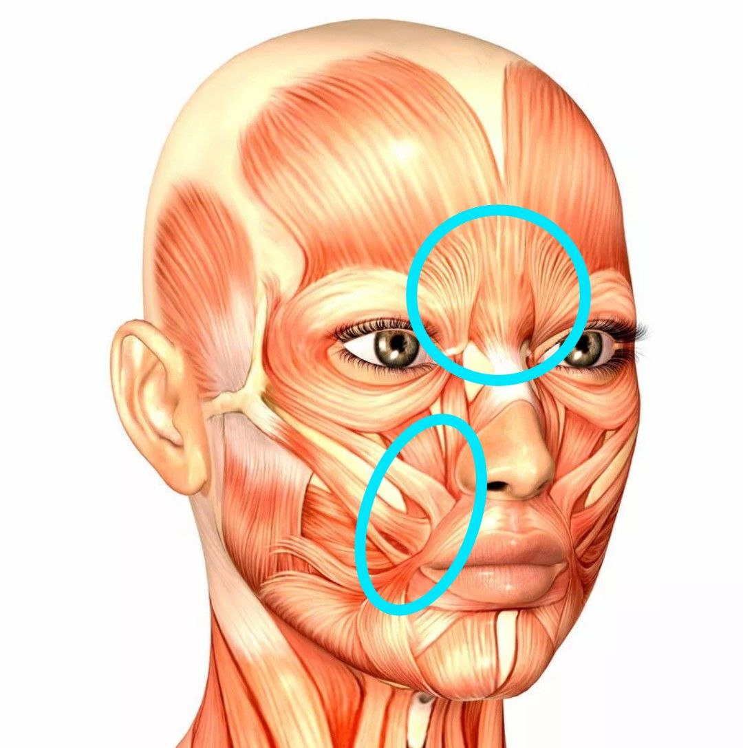 Ключевые зоны напряжения мышц