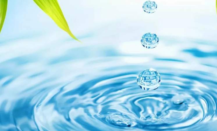 Значение воды в жизни шиншиллы: неотъемлемый элемент здоровья и благополучия