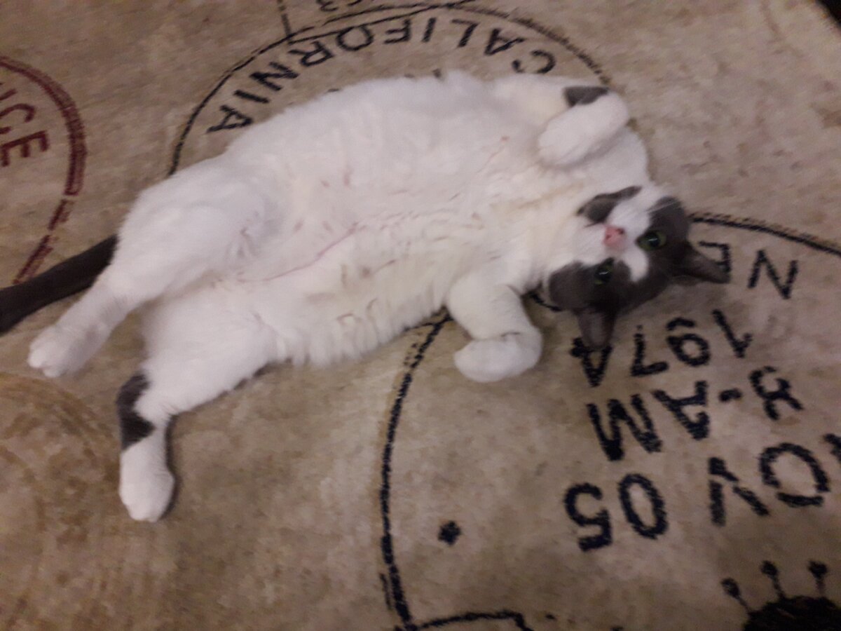 ты про меня не забыла?