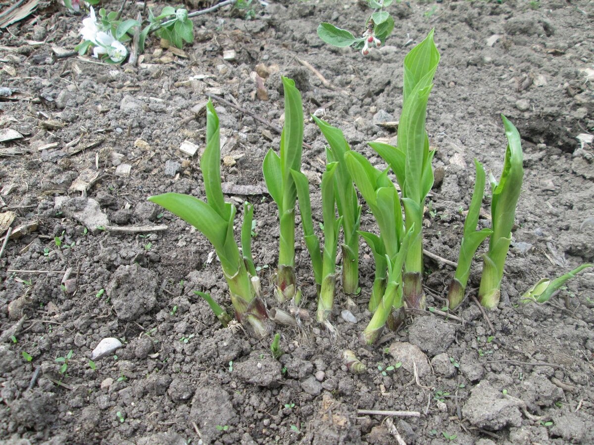 Фото из открытого источника Яндекс, без рекламных целей. В качестве примера.