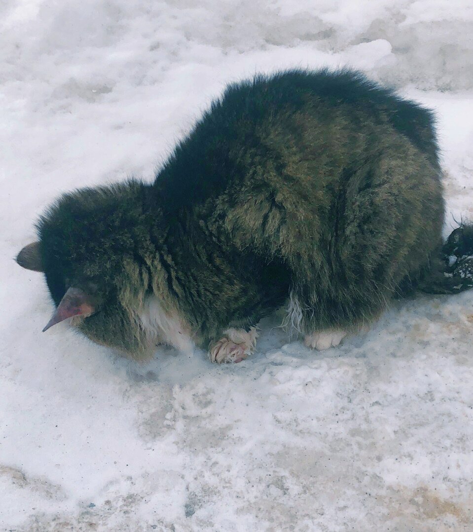 он  был в ступоре