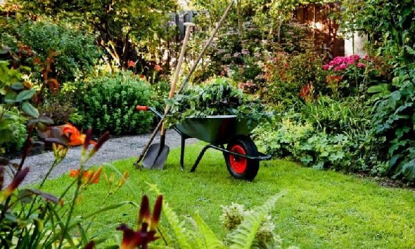 Расчистка участка под огород