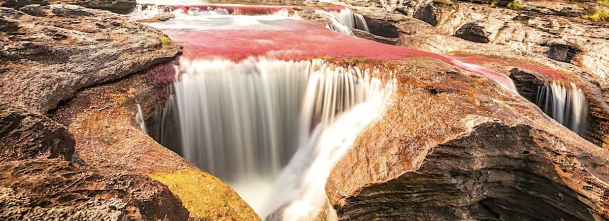 Уникальное творение природы