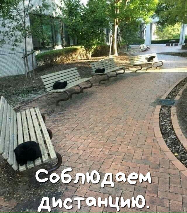 ХОТЬ КТО ТО )