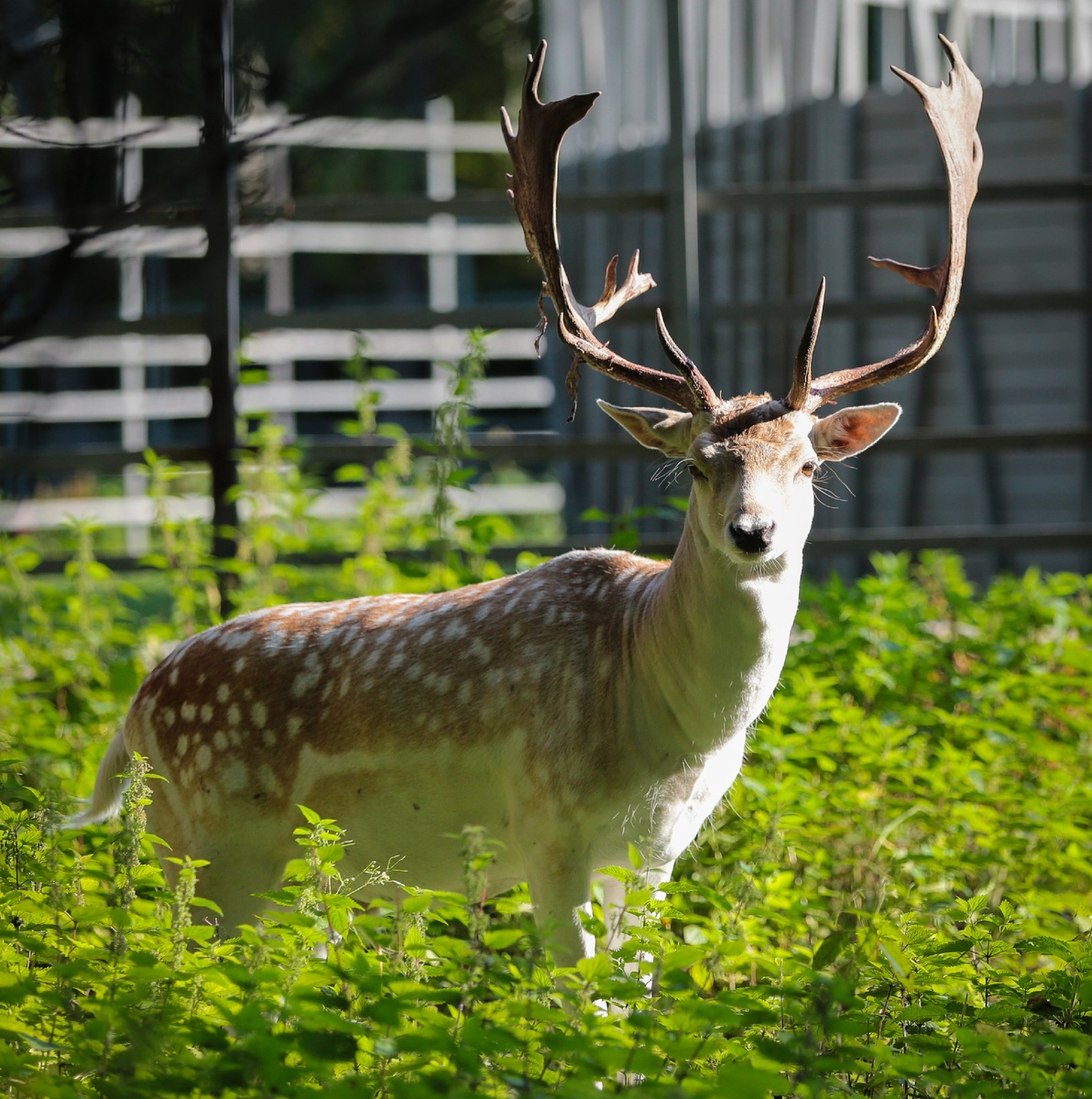 Фото из собственного архива