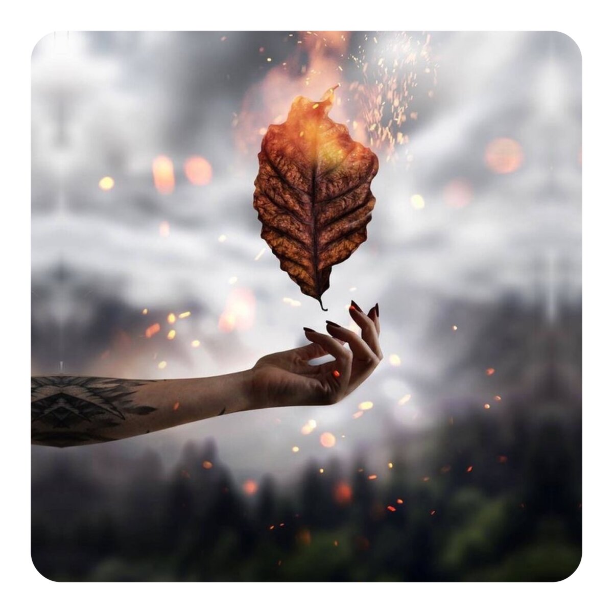 Второй шаг: установление целей