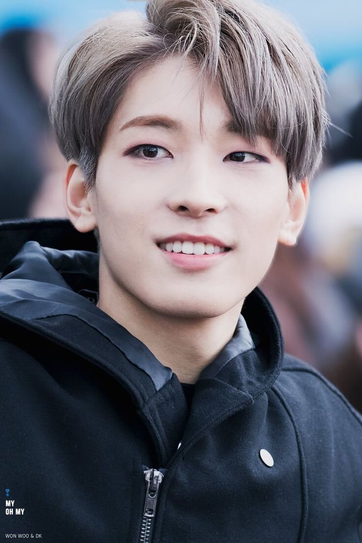 Вону,seventeen