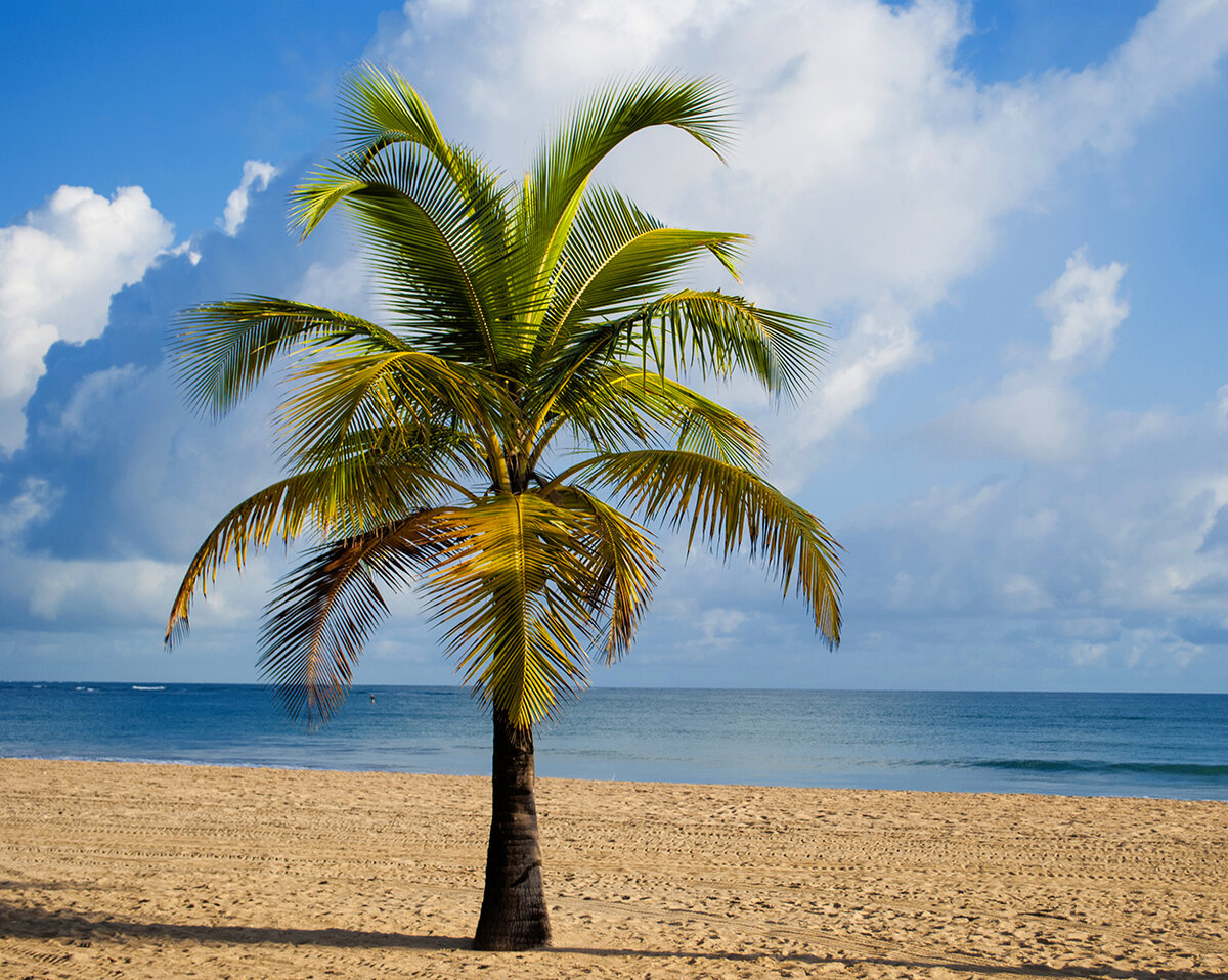 бесплатные фото dreamstime